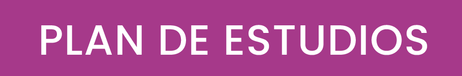 Plan de estudios